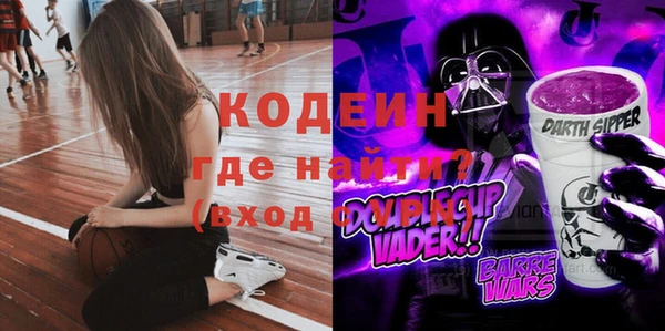 бошки Пересвет