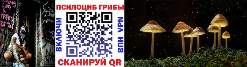 Псилоцибиновые грибы мицелий  хочу   Харабали 